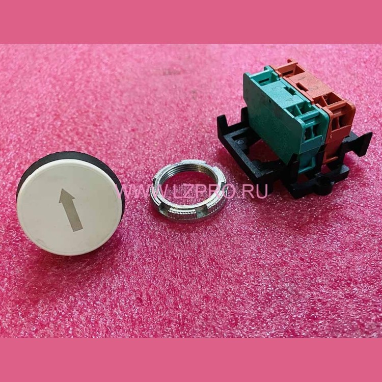 Кнопка "ВВЕРХ" поста ревизии в сборе Giovenzana