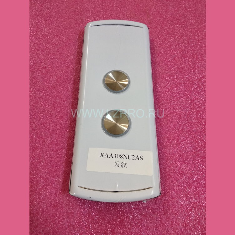 Пост вызывной XAA308NC2AS на две кнопки